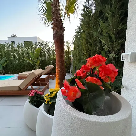 Villa Nicos Draci
